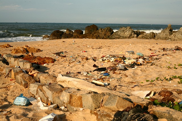 千葉 市 ゴミ プラスチック